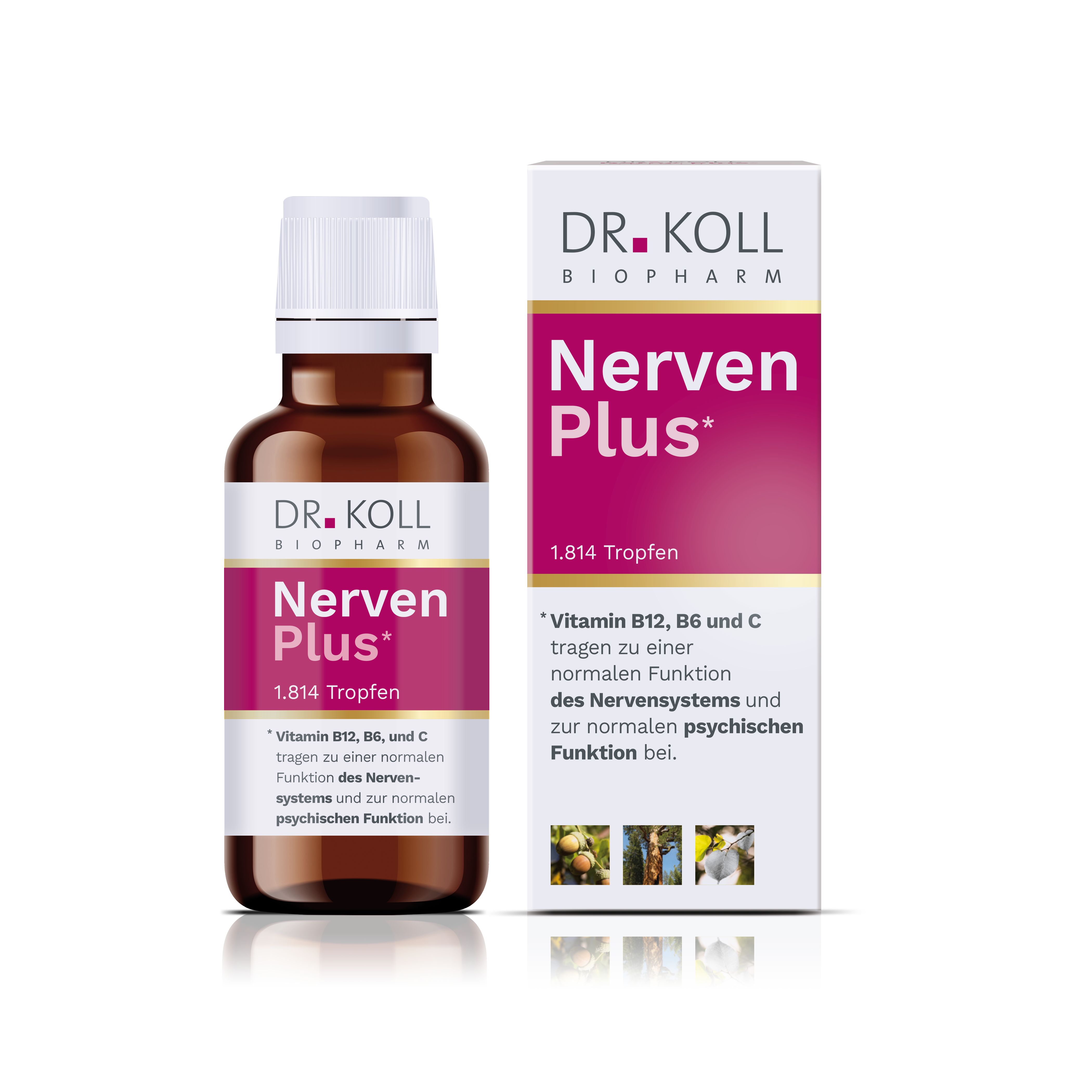 Nerven Plus Dr. Koll    Nerven Plus Dr. Koll