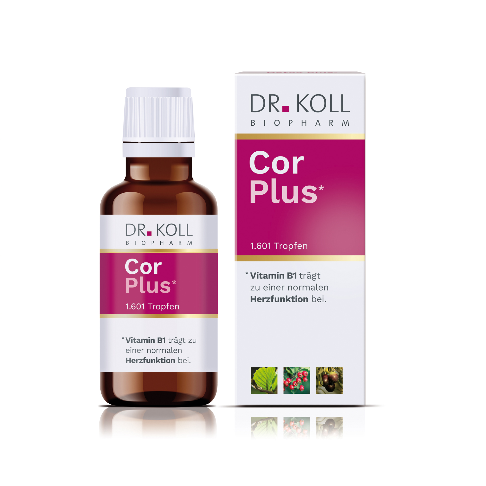 Cor Plus Dr. Koll