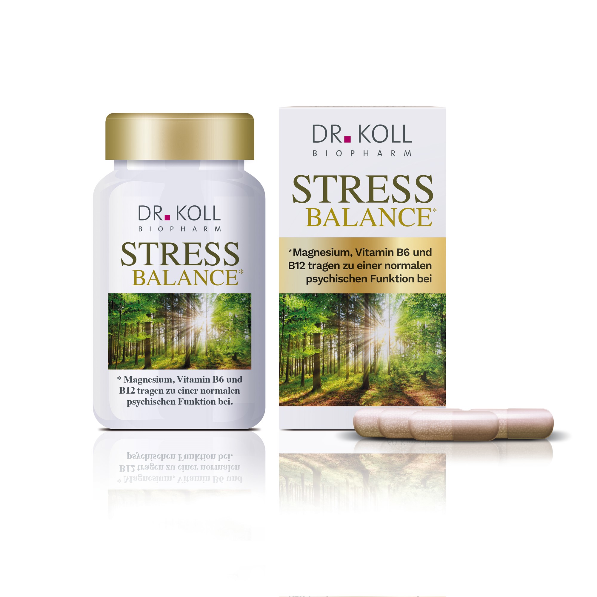 Stress Balance Dr.Koll