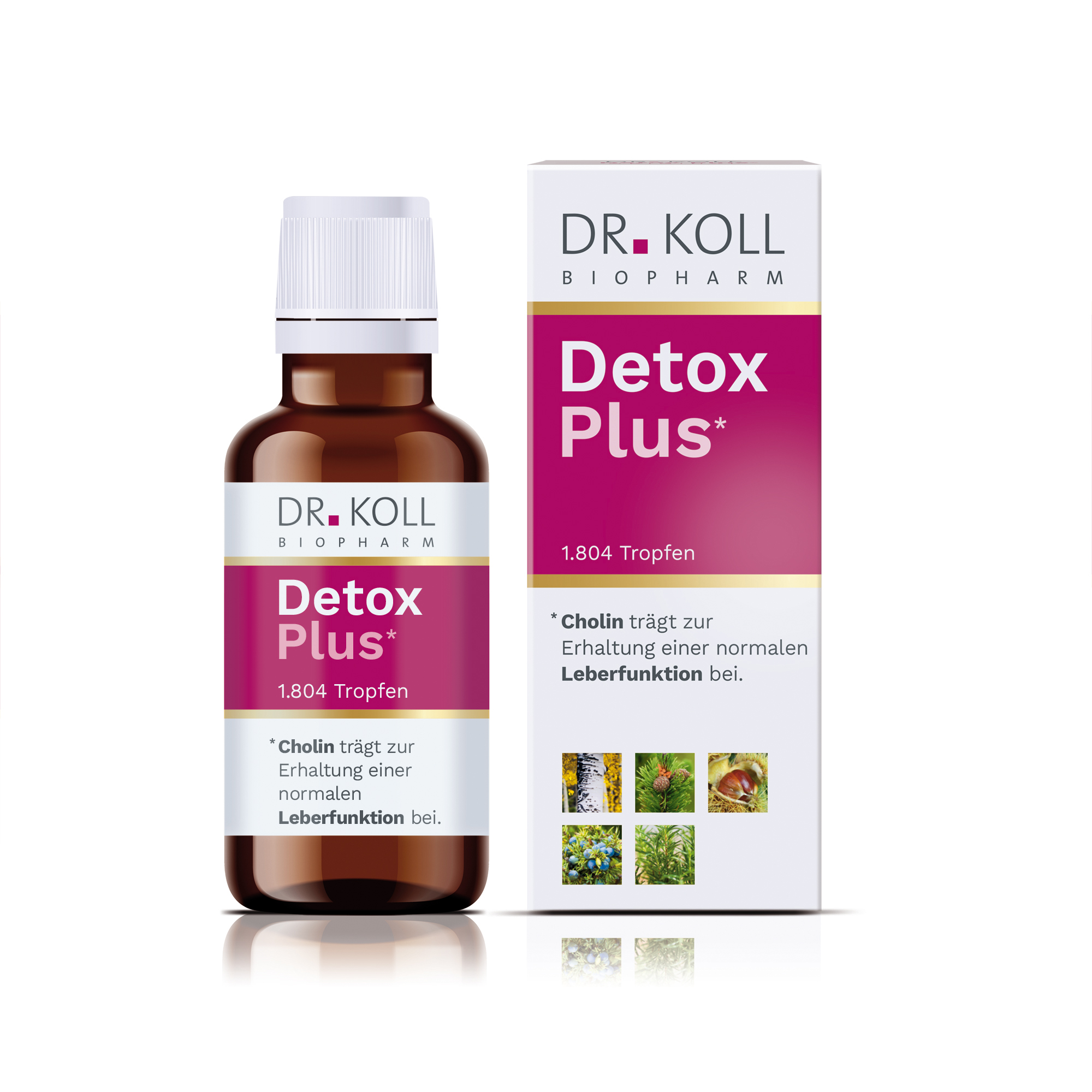 Detox Plus Dr. Koll 