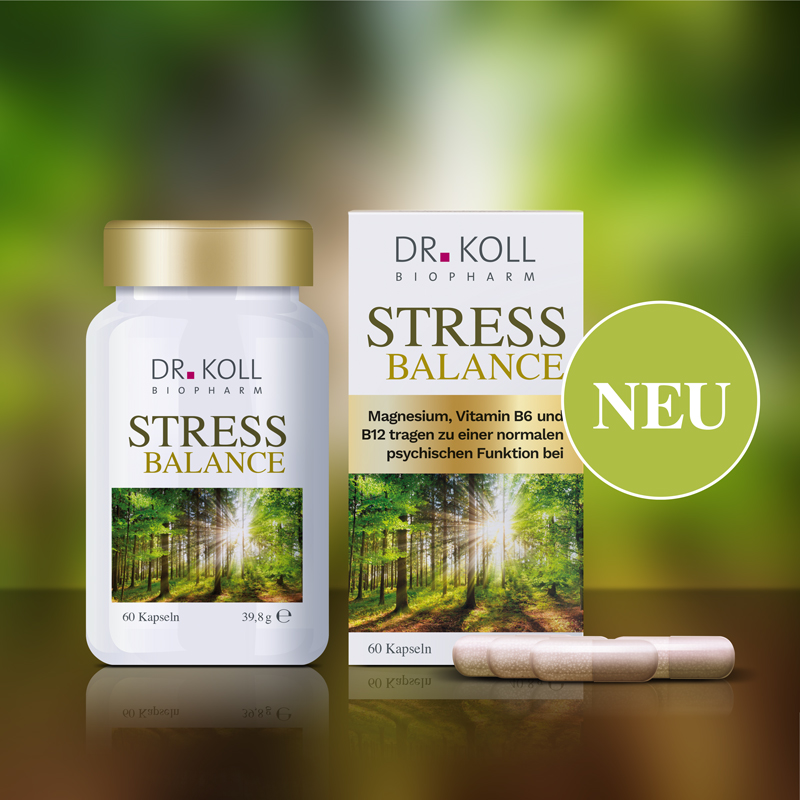 Stress Balance Dr.Koll